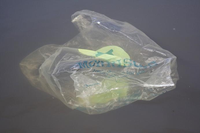 Morrisons jellyfish!