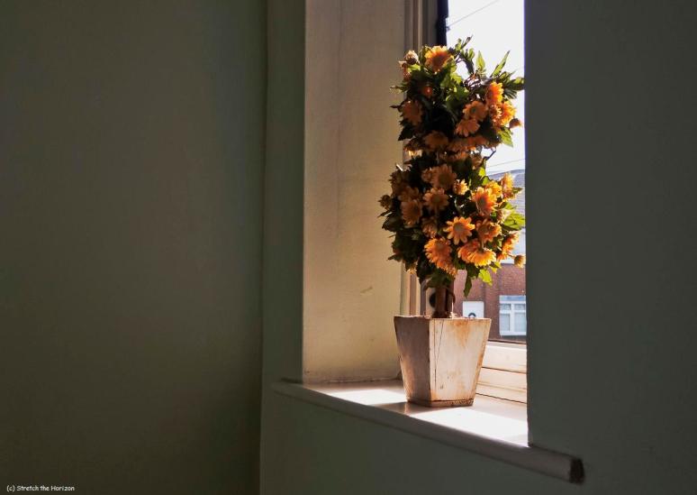 Plastic flowers (slight return)