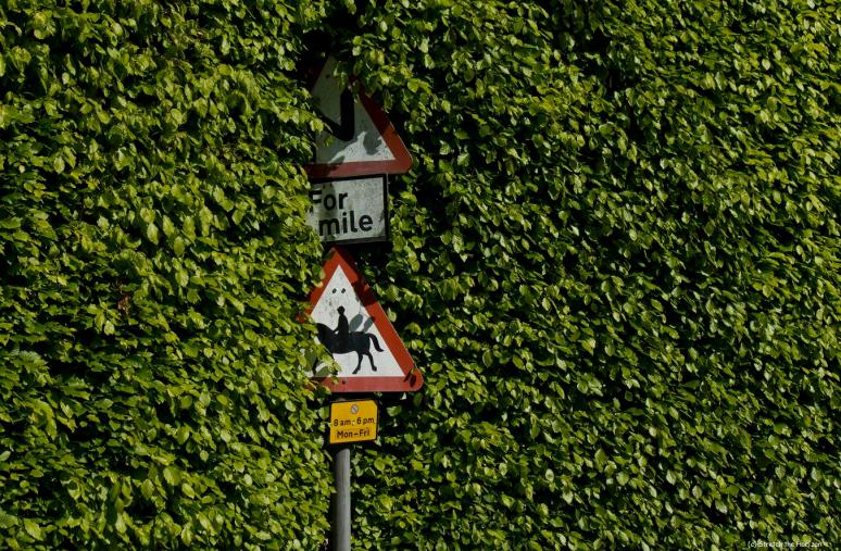 An accident waiting to happen...