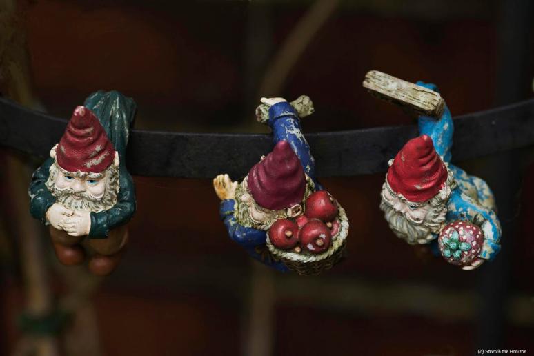 Three dangling Gnomes