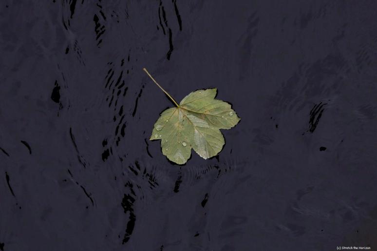 Turn off your mind...